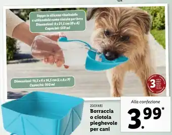 Lidl Borraccia o ciotola pieghevole per cani offerta