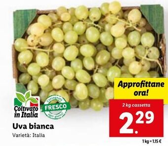 Uva bianca
