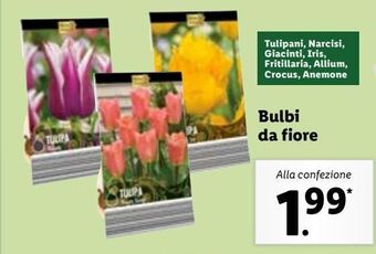 Lidl Bulbi da fiore offerta