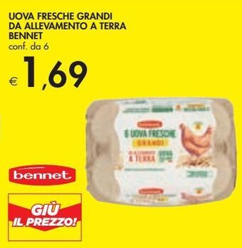 Bennet Uova fresche grandi da allevamento a terra bennet offerta