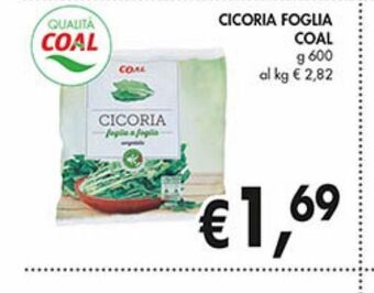 Supermercato Coal Cicoria foglia coal offerta