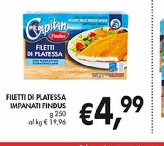 Supermercato Coal Filetti di platessa impanati findus offerta