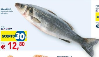 Esselunga Branzino offerta