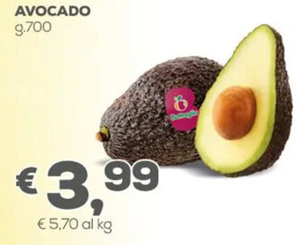 Pan Avocado g.700 offerta
