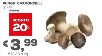 Pan Funghi Cardoncelli g.300 offerta