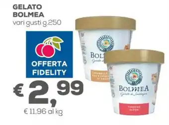 Pan Bolmea Gelato vari gusti g.250 offerta