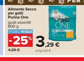 Carrefour Iper Alimento secco per gatti purina one offerta