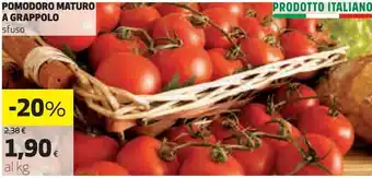 Coop Pomodoro maturo a grappolo offerta