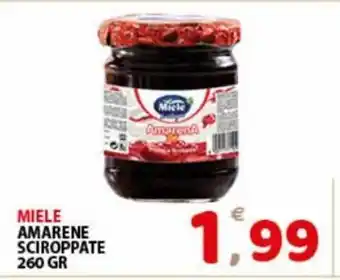 Premium Supermercati Miele Amarene Sciroppate 260 gr offerta