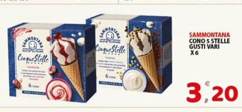 Sammontana Cono 5 Stelle Gusti Vari x 6