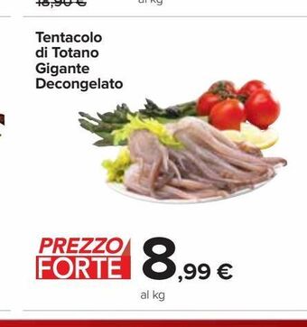 Tentacolo di totano gigante decongelato