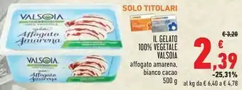 Conad Valsoia Il Gelato 100% Vegetale Affogato Amarena offerta