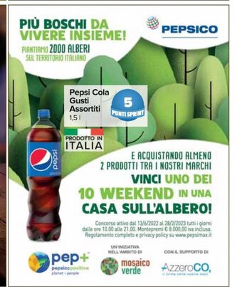 Carrefour Express Pepsi Cola Gusti Assortiti 1,5 L offerta