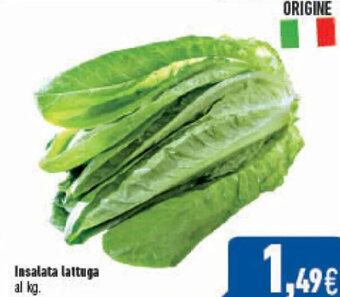 C+C Cash and Carry Insalata Lattuga offerta