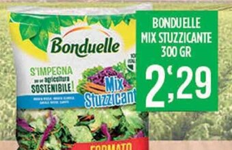 Supermercato Pollio Bonduelle Mix Stuzzicante 300 gr offerta