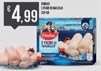 Findus 5 Fiori di Nasello 250 gr