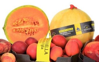 Tigros Melone Liscio offerta