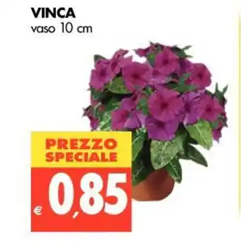 Tigros Vinca vaso 10cm offerta