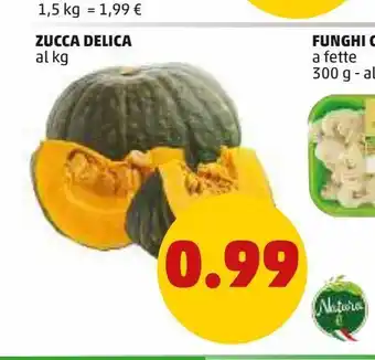 PENNY Zucca delica offerta