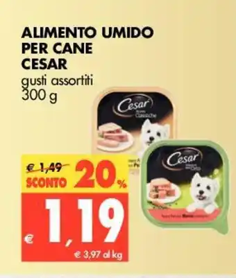 Tigros Cesar Alimento Umido per Cane 300g offerta