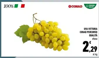 Conad Conad Uva Vittoria Percorso Qualità Sfusa offerta