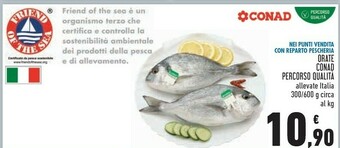 Conad Trota offerta