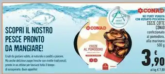 Conad Tempo Salmone offerta