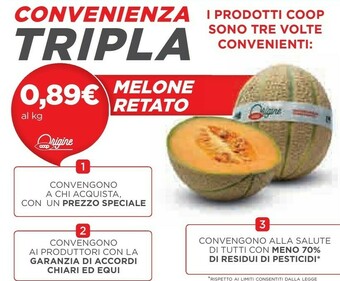 Coop Coop Melone Retato offerta