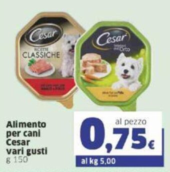 Sigma Cesar Alimento per cani vari gusti g 150 offerta