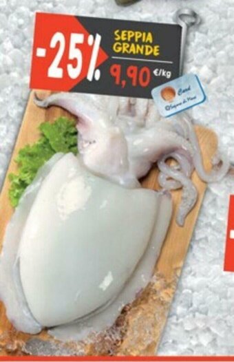 Sapore di Mare Seppia Grande offerta
