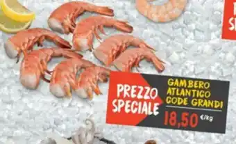 Sapore di Mare Gambero Atlantico Code Grandi offerta