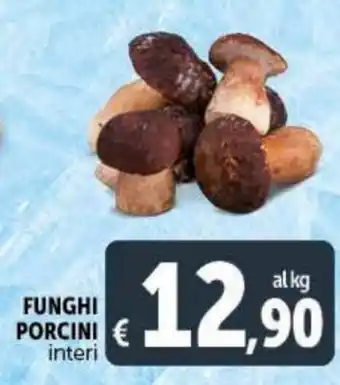 Deco Maxistore Funghi Porcini interi offerta