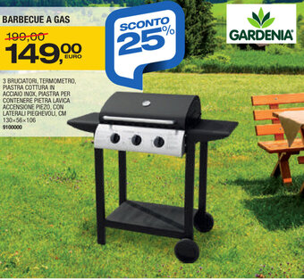 Bricofer Barbecue A Gas offerta
