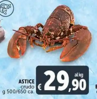 Astice crudo 500 g / 650 ca.