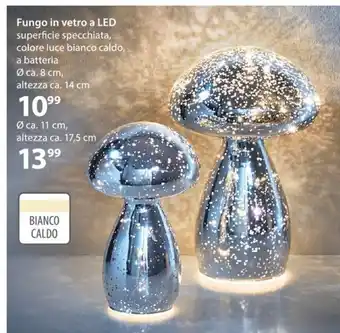 Fungo in vetro a Led 8 cm