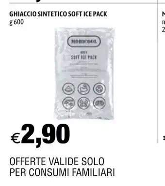 Ghiaccio Sintetico Soft Ice Pack 600g