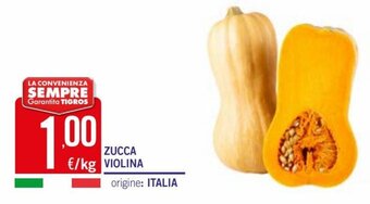 Tigros Zucca Violina offerta