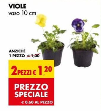 Tigros Viole Vaso 10 cm offerta