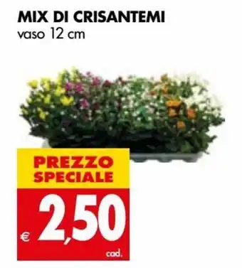 Tigros Mix Di Crisantemi Vaso 12 cm offerta