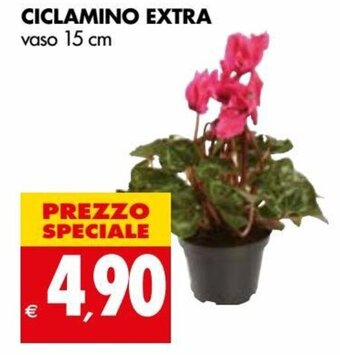 Tigros Ciclamino Extra Vaso 15 cm offerta