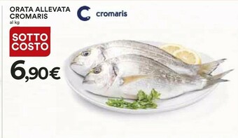 Coop Orata offerta
