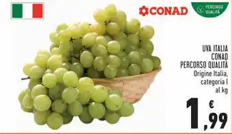 Conad Conad Percorso Qualità Uva Italia offerta