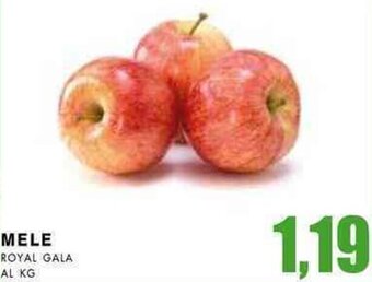 La Mimosa Supermercati Mele Royal Gala offerta