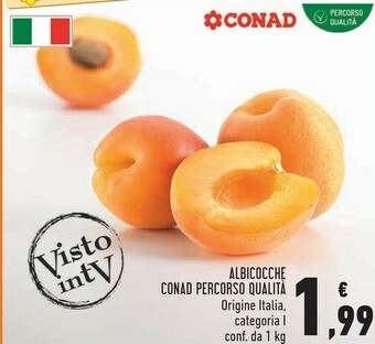 Conad Superstore Albicocche offerta