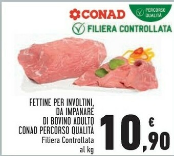Conad Spezzatino offerta