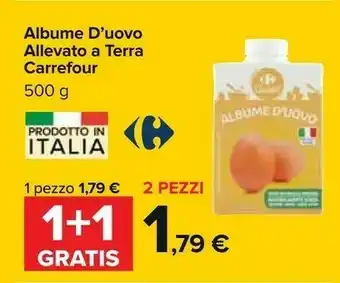 Carrefour Carrefour Albume Uovo Allevato A Terra 500 G offerta