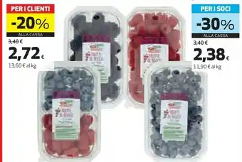 Coop Linea Frutti Di Bosco offerta