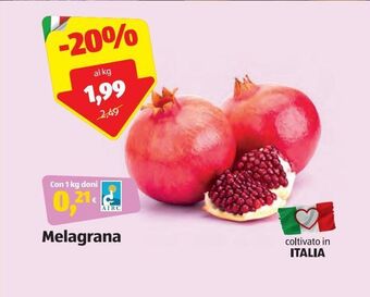 ALDI Melagrana offerta