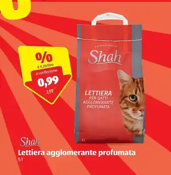 ALDI Shah lettiera agglomerante profumata 5 l offerta