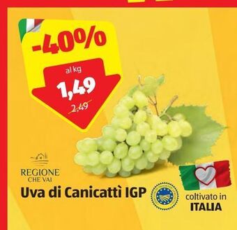 ALDI Regione che vai uva di canicatti igp offerta
